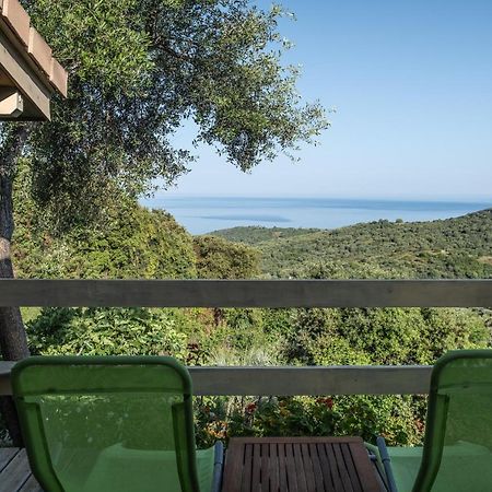 Вилла Les Terrasses De Scaglioli Villanova Экстерьер фото