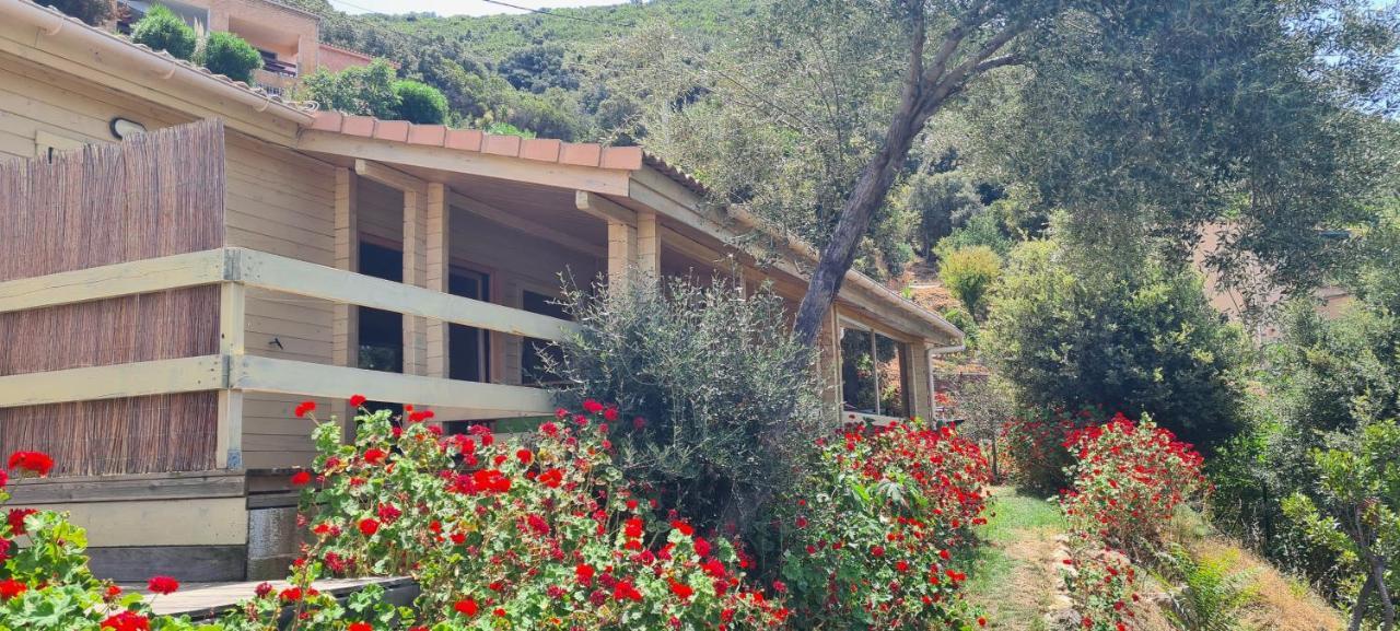 Вилла Les Terrasses De Scaglioli Villanova Экстерьер фото