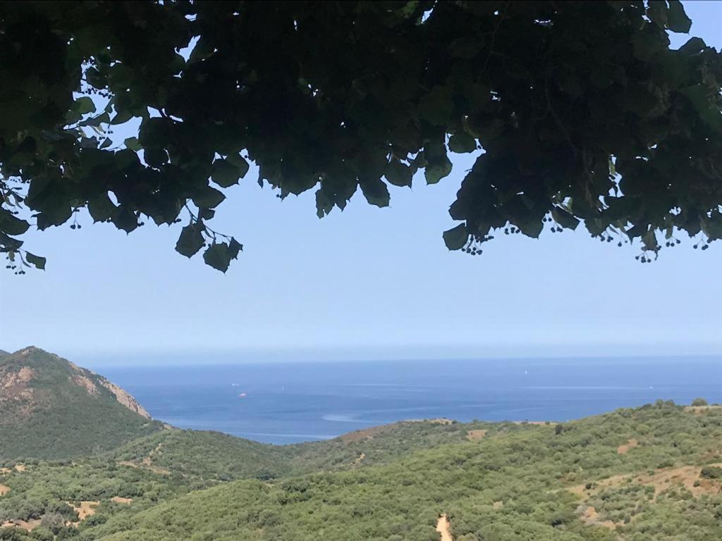 Вилла Les Terrasses De Scaglioli Villanova Экстерьер фото