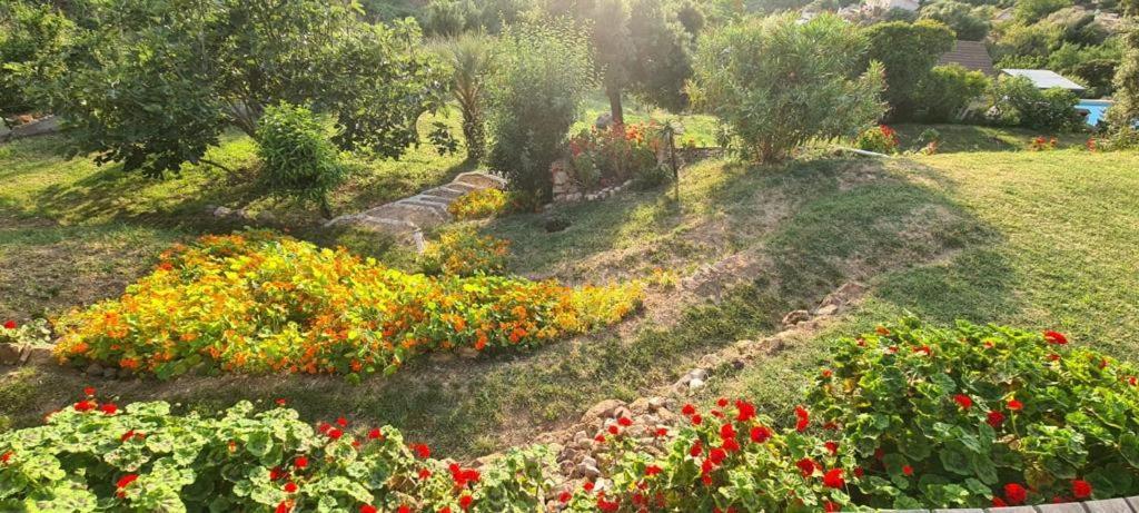Вилла Les Terrasses De Scaglioli Villanova Экстерьер фото